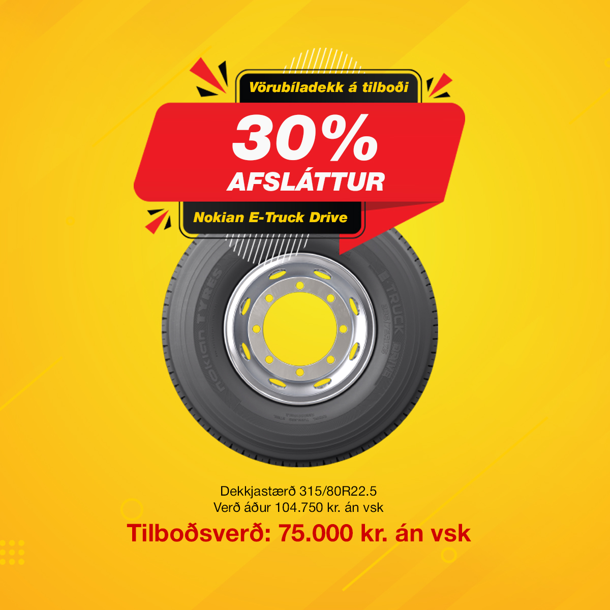 Nokian E-Truck Drive